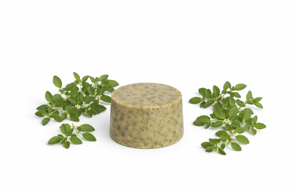 Jabon oregano